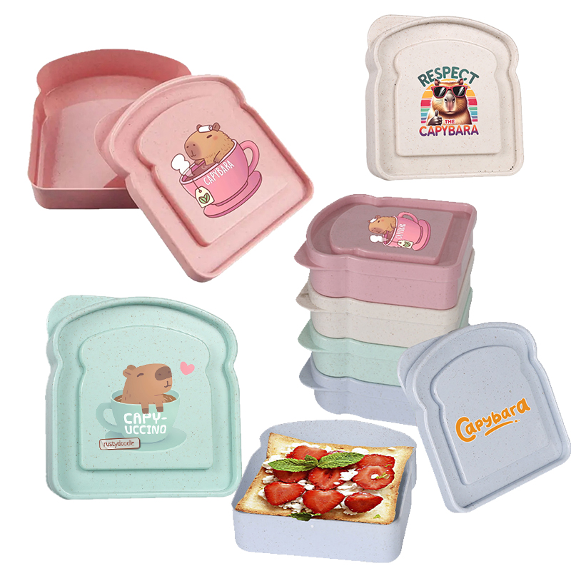 Food Storage Order - 카피바라 샌드위치 음식 보관 케이스 컨테이너