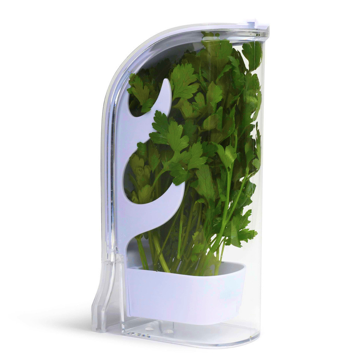 허브 크리스퍼 세이버 컨테이너 냉장고 측면 개방 컨테이 - Herb Keeper Container 리뷰 및 가격