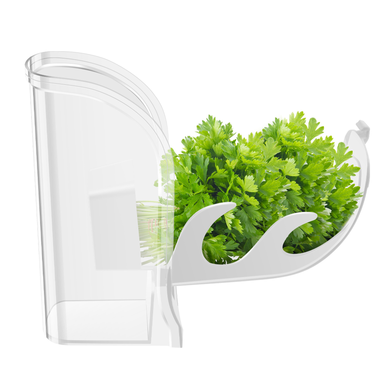 허브 크리스퍼 세이버 컨테이너 냉장고 측면 개방 컨테이 - Herb Keeper Container 리뷰 및 가격