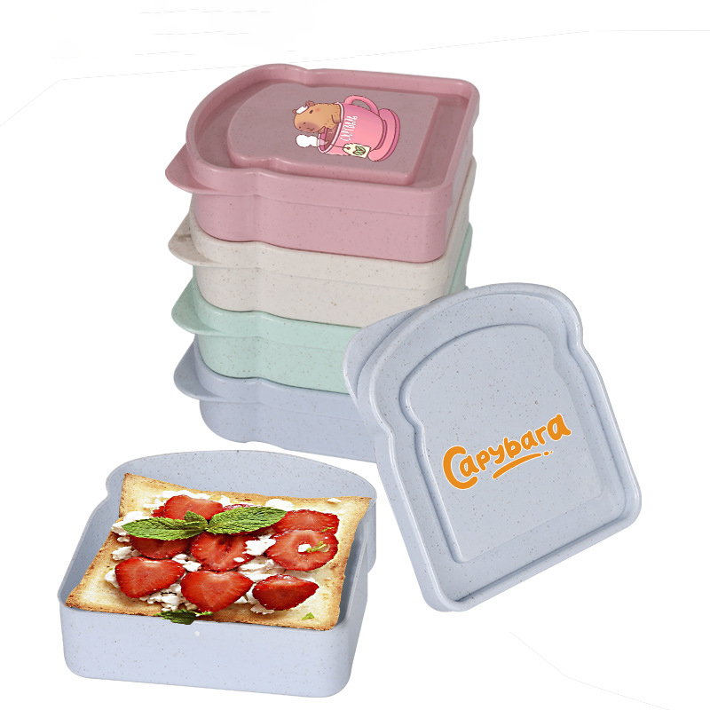 카피바라 샌드위치 음식 보관 케이스 컨테이너 샐러드 과 - Food Storage Order 리뷰 및 가격