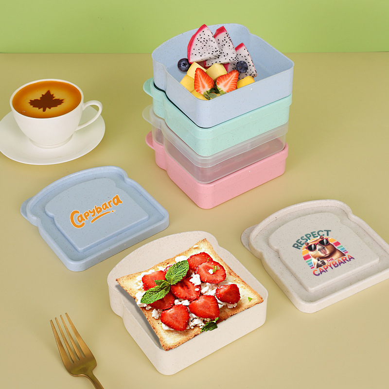 카피바라 샌드위치 음식 보관 케이스 컨테이너 샐러드 과 - Food Storage Order 리뷰 및 가격