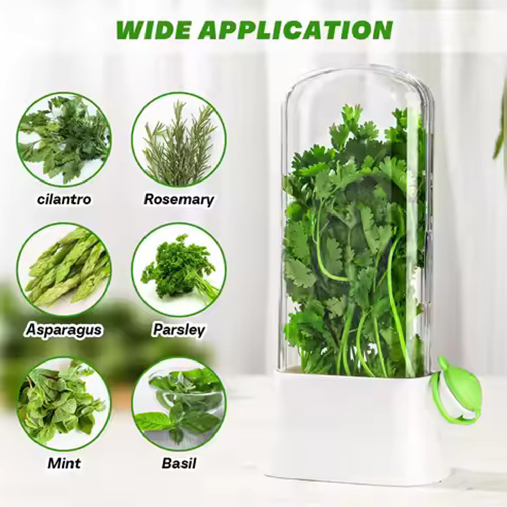 냉장고 허브 크리스퍼 세이버 포드 컨테이너 야채 보존  - Herb Keeper Container 리뷰 및 가격