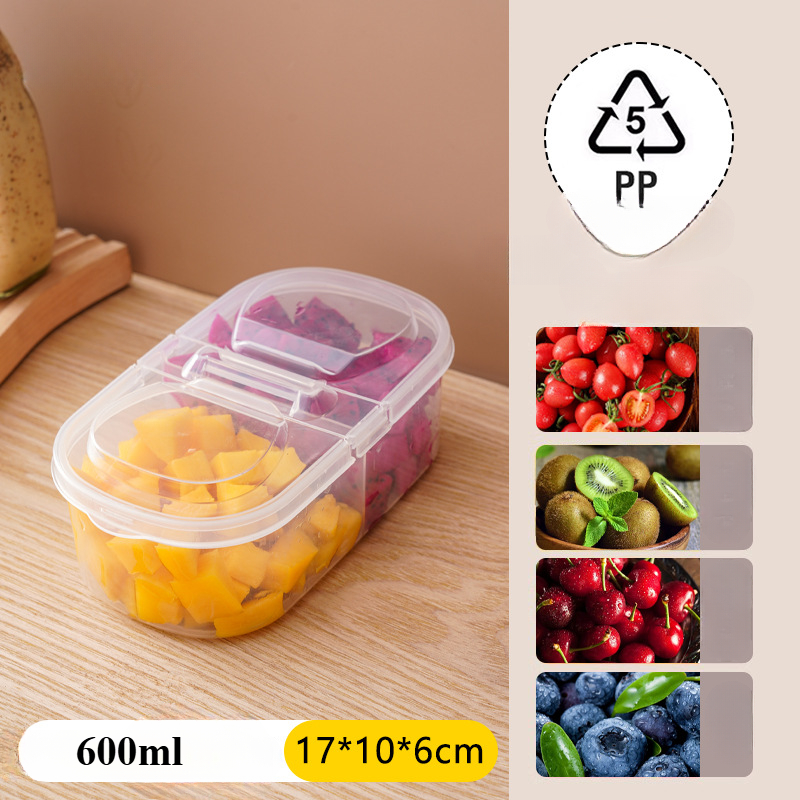 10pcs/4pcs/1pc 캠핑 피크닉을위한 휴대용 도 - Food Storage Containers Plastic Box 리뷰 및 가격