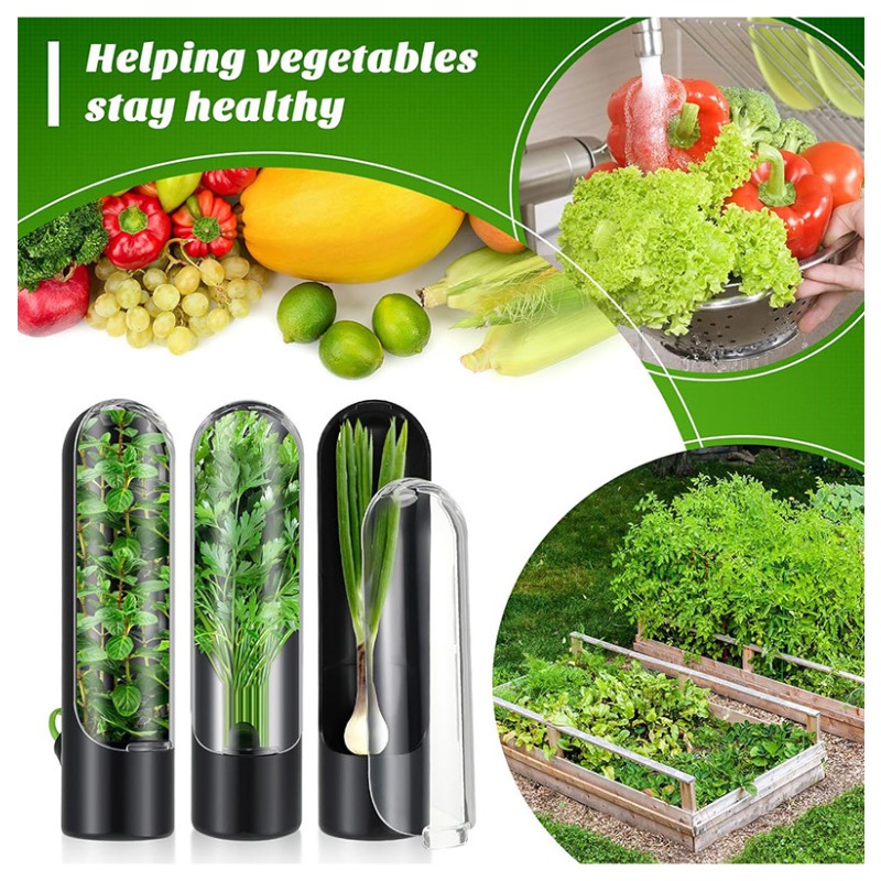 1/2/3개 허브 보관 용기 신선한 허브 보관기 바닐라 - Herb Keeper Container 리뷰 및 가격