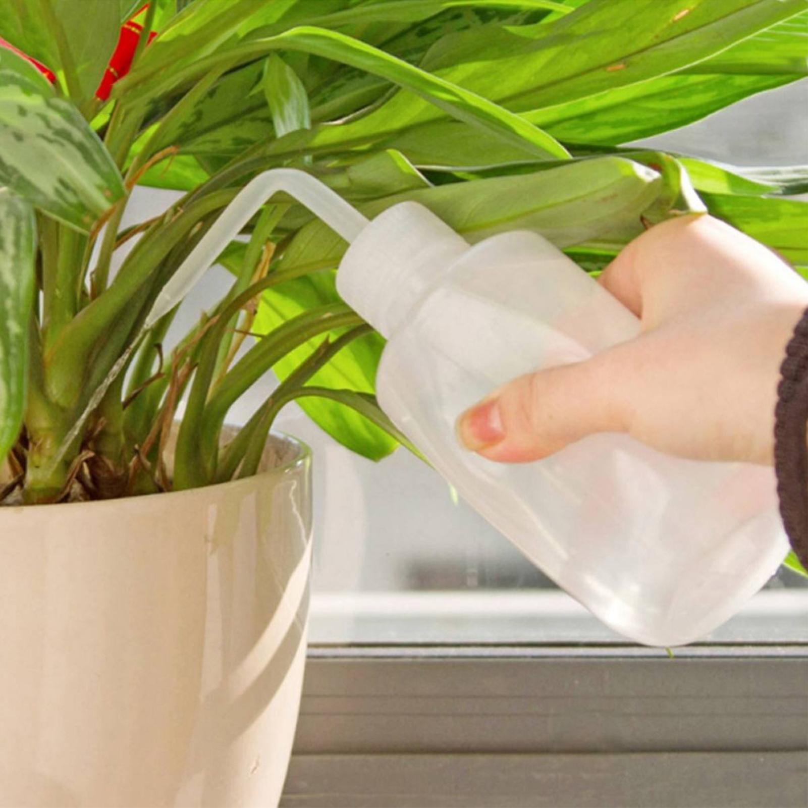 스퀴즈 워시 병 250ml 안전 병 물주기 도구 흐르는 - Food Storage Food Safety 리뷰 및 가격