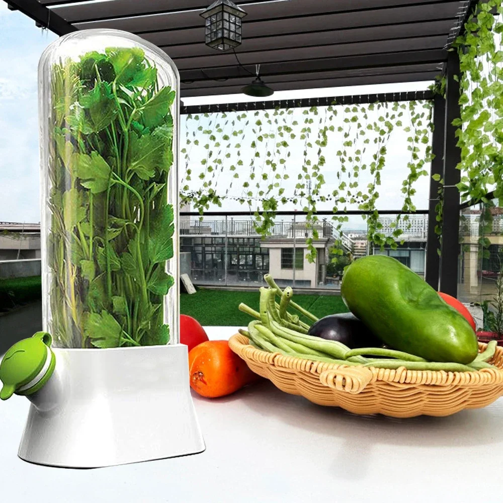 허브 보호기 보관 용기 야채 보존 병 부추 민트 파슬리 - Herb Keeper Container 리뷰 및 가격