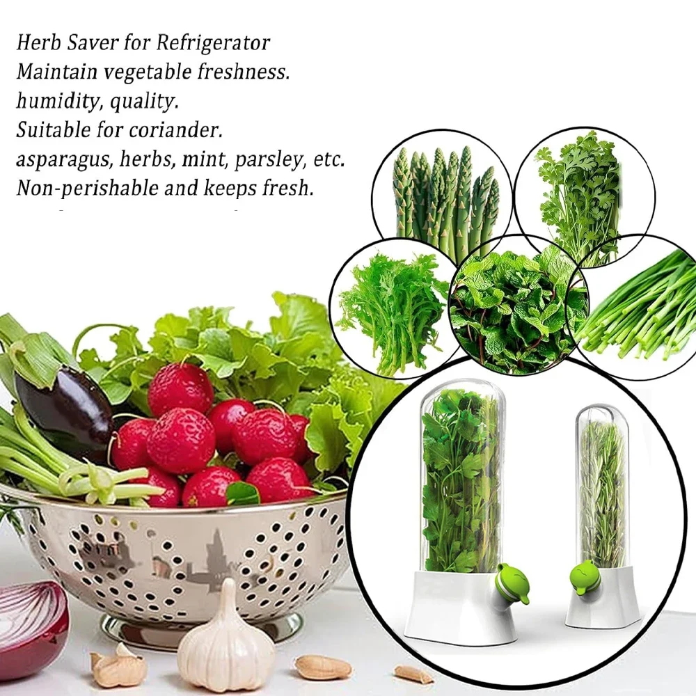 허브 보호기 보관 용기 야채 보존 병 부추 민트 파슬리 - Herb Keeper Container 리뷰 및 가격
