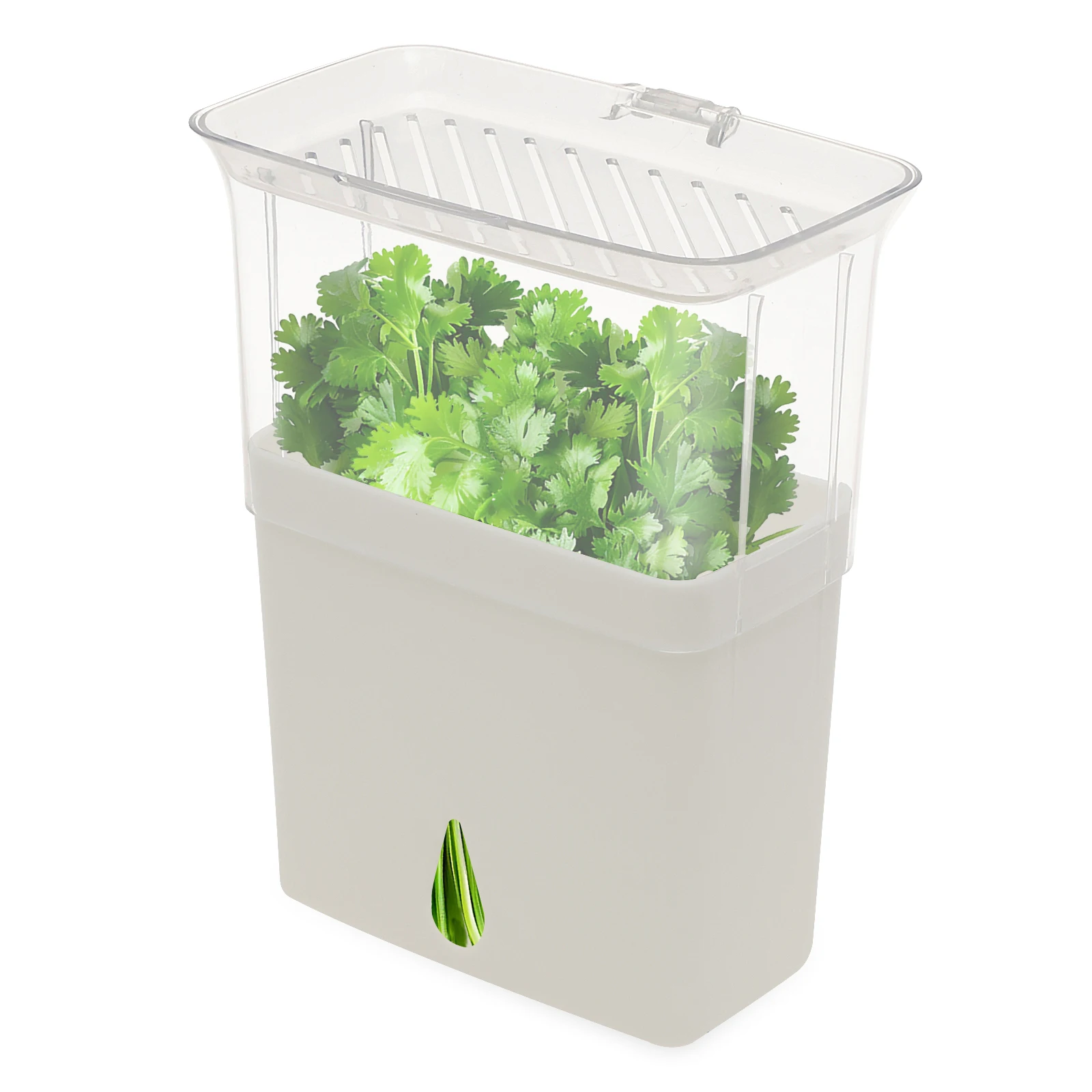 허브 보관 용기, 냉장고용 밀폐형 신선 허브 키퍼, 야 - Herb Keeper Container 리뷰 및 가격