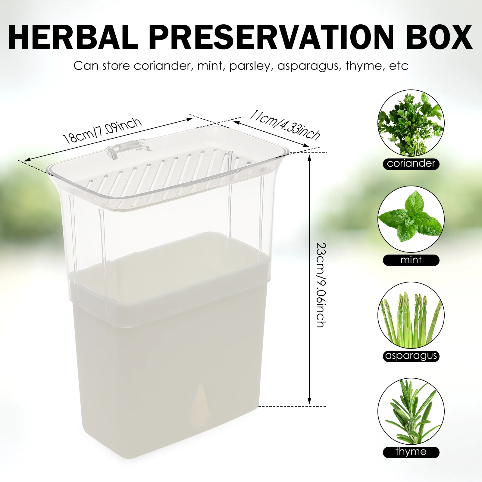 허브 보관 용기, 냉장고용 밀폐형 신선 허브 키퍼, 야 - Herb Keeper Container 리뷰 및 가격