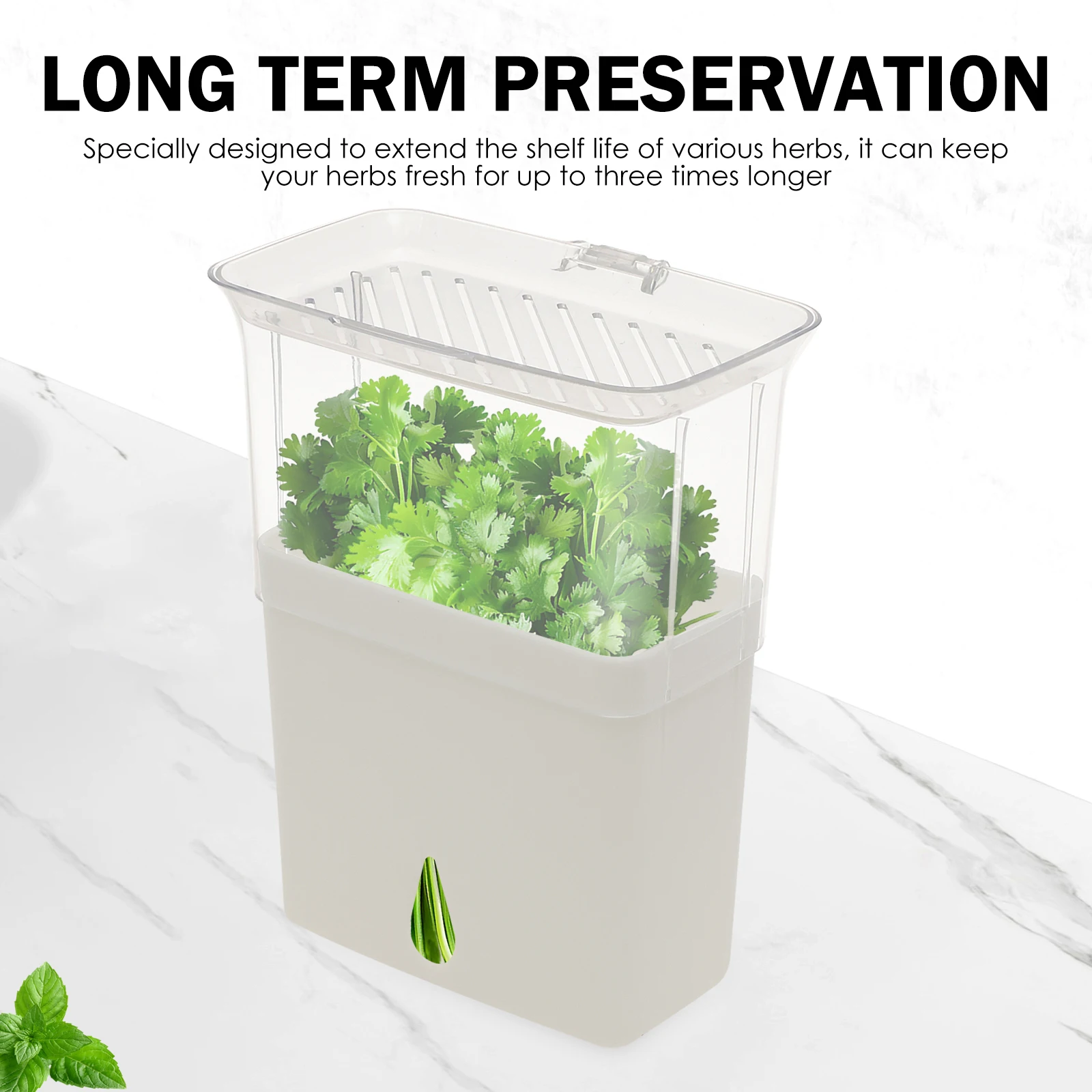 허브 보관 용기, 냉장고용 밀폐형 신선 허브 키퍼, 야 - Herb Keeper Container 리뷰 및 가격