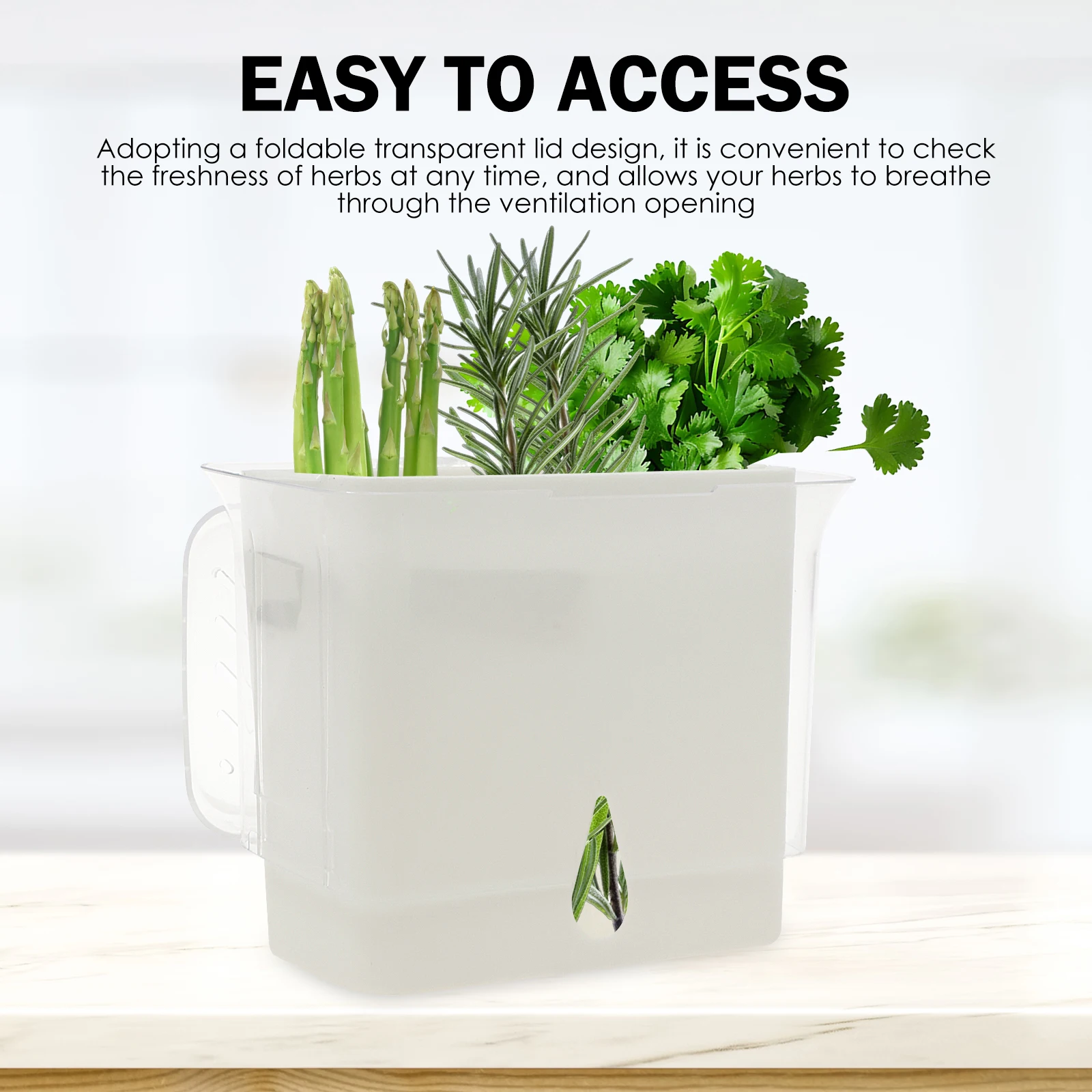 허브 보관 용기, 냉장고용 밀폐형 신선 허브 키퍼, 야 - Herb Keeper Container 리뷰 및 가격