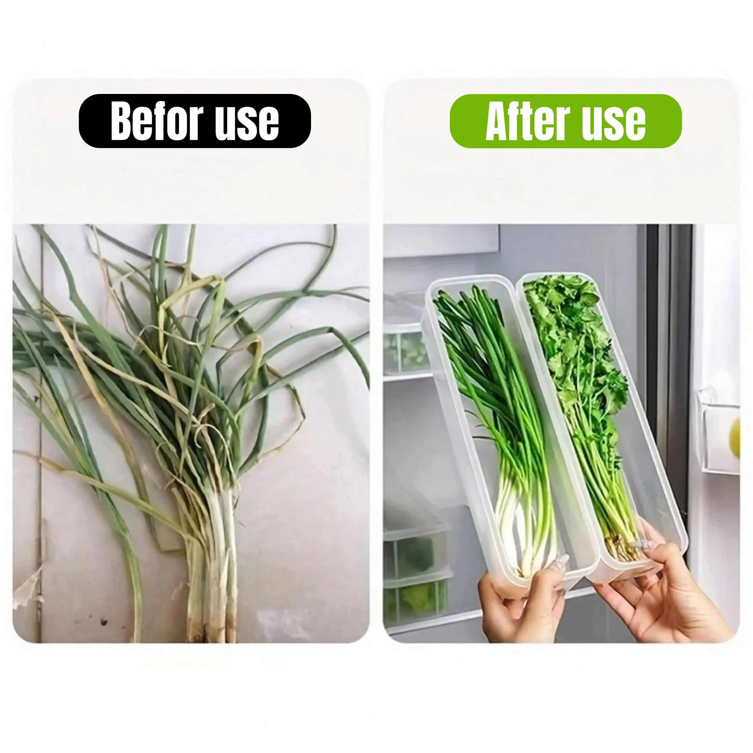 1/4Pcs 뚜껑이있는 냉장고 보관 상자 플라스틱 신선 - Herb Keeper Container 리뷰 및 가격